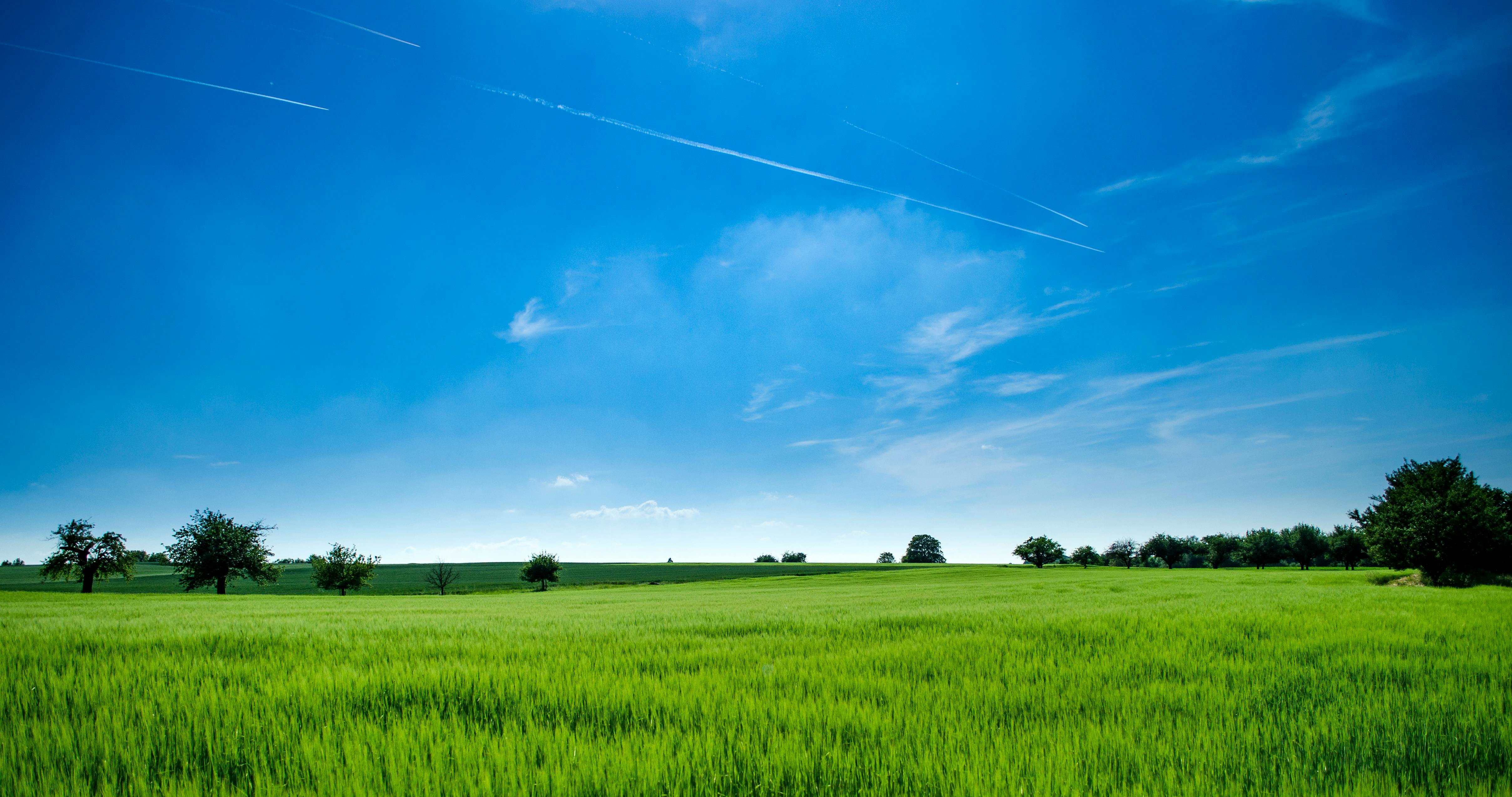Land Sales