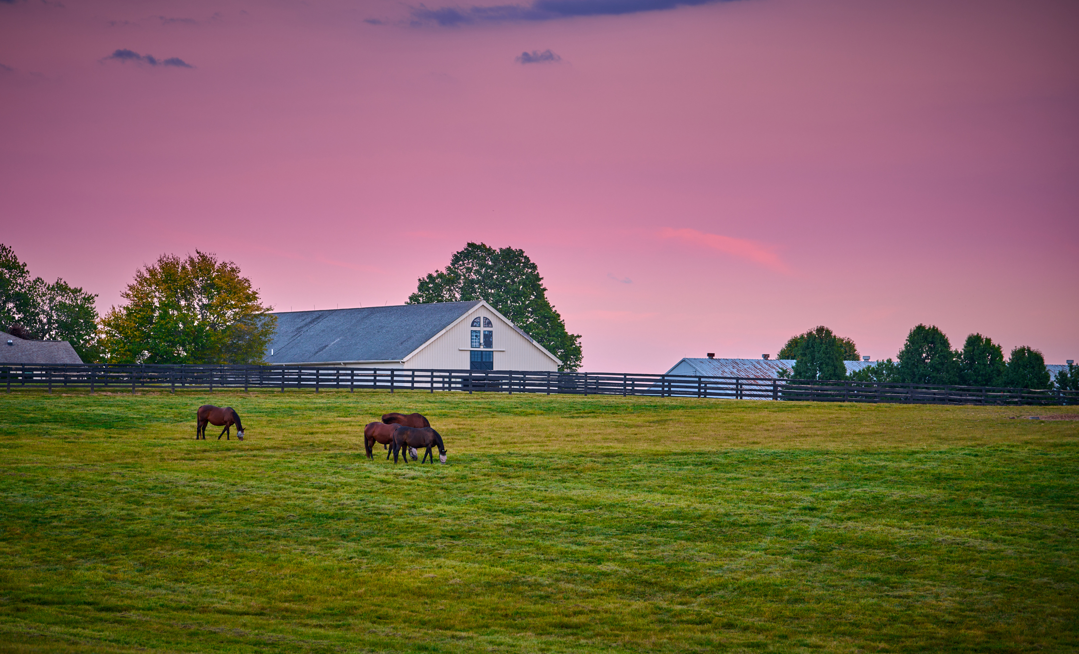 Equestrian Properties